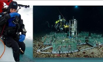 antartide-primi-dati-dal-laboratorio-sottomarino-del-mare-di-ross