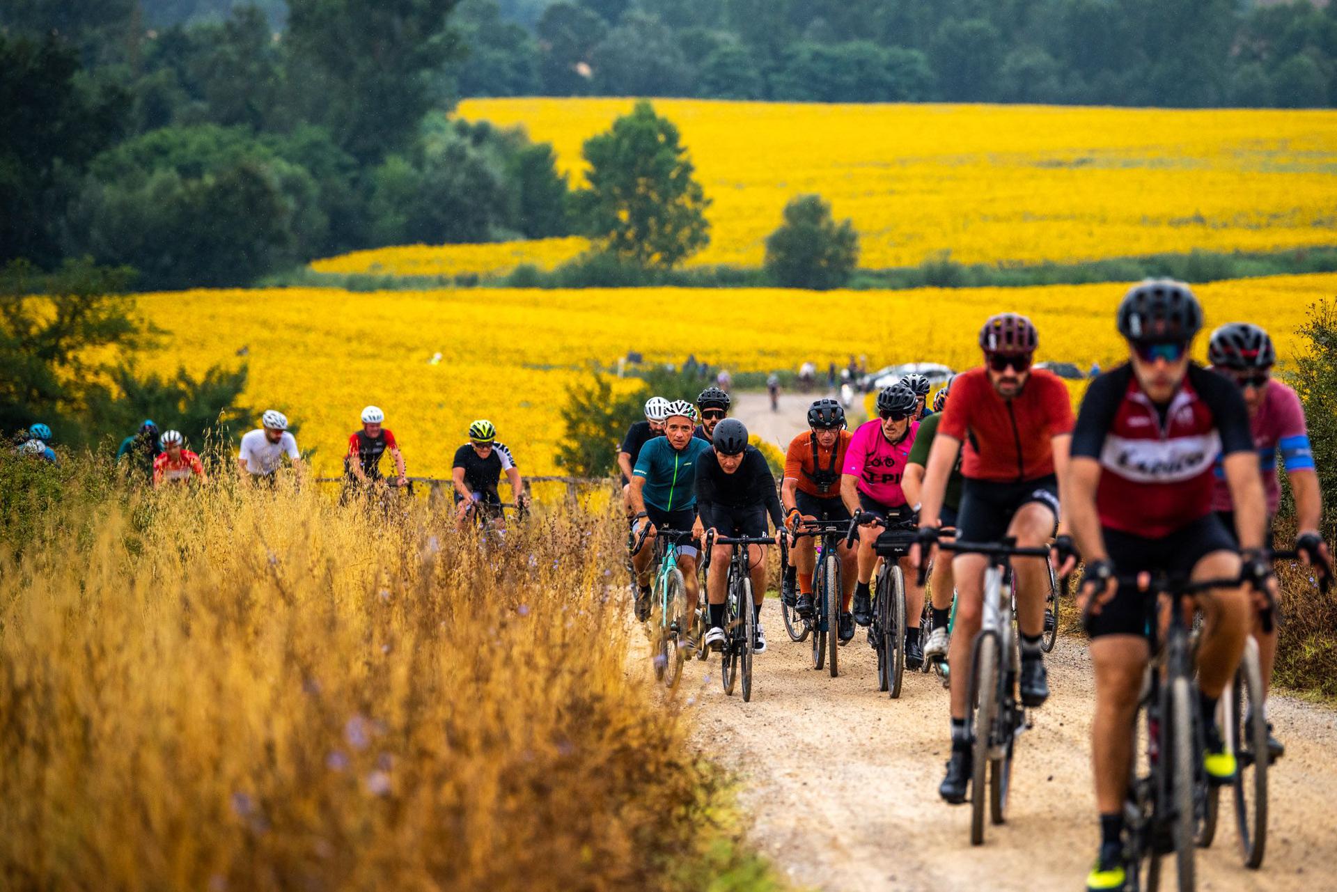 buonconvento-torna-il-“festival-di-nova-eroica”