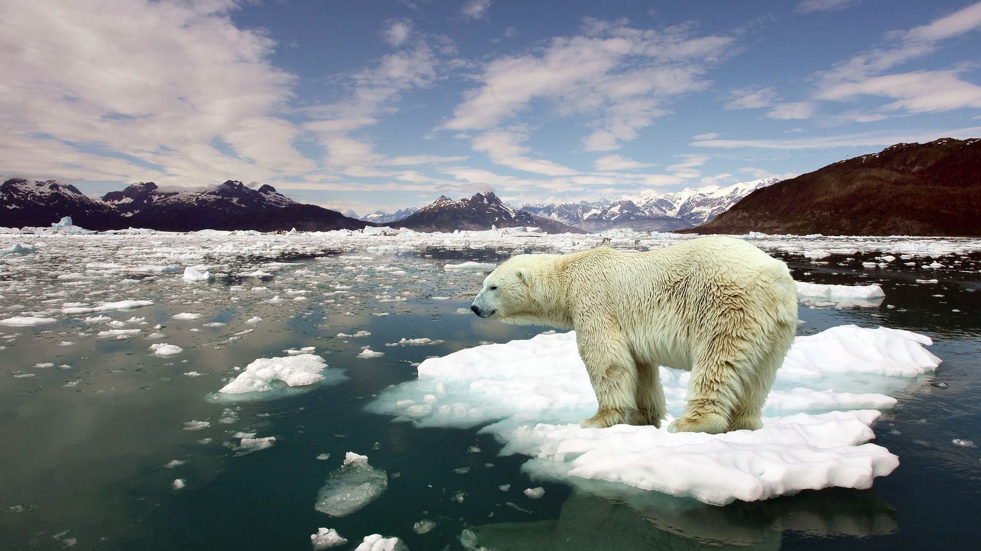 il-cambiamento-climatico-rischia-di-far-scomparire-il-cibo