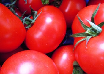omodoro-anicav-“campagna-2018-annata-negativa-per-lindustria-di-trasformazione-con-calo-delle-produzioni-e-incremento-dei-costi-industriali”