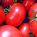 omodoro-anicav-“campagna-2018-annata-negativa-per-lindustria-di-trasformazione-con-calo-delle-produzioni-e-incremento-dei-costi-industriali”