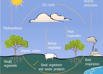 gas-serra-europa-virtuosa-ma-servono-nuove-idee