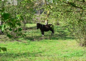 expo-agronomi-volontari-raccontano-come-nasce-il-cibo