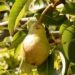 export-agroalimentare-continua-il-buon-andamento