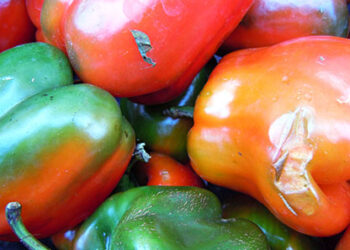 export-agroalimentare-a-gonfie-vele-ma-pesa-lembargo-russo