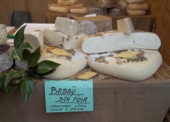 export-vola-il-mezzogiorno-crollano-le-isole