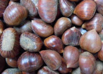 agroalimentare-ecco-i-prodotti-piu-apprezzati-allestero