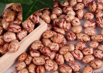 fabrica-di-roma-la-festa-del-fagiolo-carne