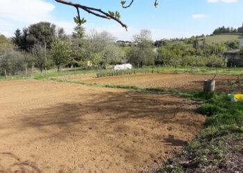 fame-nel-mondo-cresce-linsicurezza-alimentare