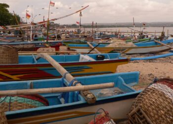 in-italia-vige-il--fermo-pesca-per-lo-strascico-il-calendario-per-zone