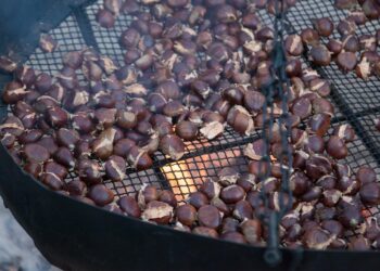 castagne-e-zucche-con-amiatautunno-prosegue-il-viaggio-nel-gusto-e-nella-tradizione