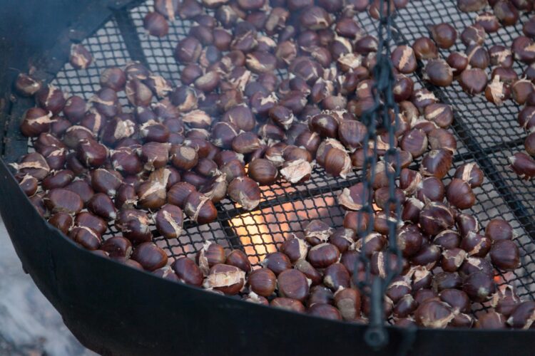 castagne-e-zucche-con-amiatautunno-prosegue-il-viaggio-nel-gusto-e-nella-tradizione