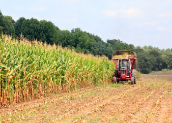 ogm-la-corte-di-giustizia-europea-boccia-litalia