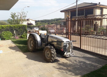 agroalimentare-italiano-crif-prevede-crescita-del-4