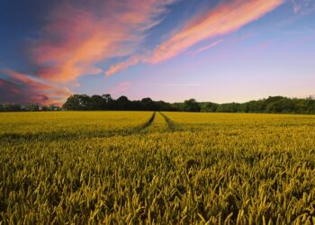psr-campania-formazione-sui-prodotti-fitosanitari