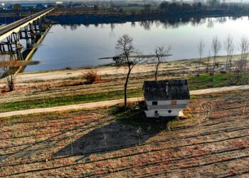 estate-torna-lincubo-siccita