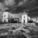 favignana-presentato-il-festival-florio
