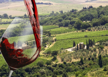 brunello-di-montalcino-nasce-la-fondazione-legata-al-territorio