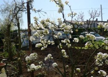 i-fondi-anticrisi-tornano-nel-bilancio-agricolo-comunitario