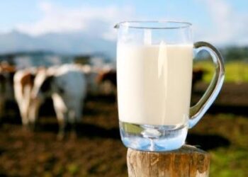 operativo-il-fondo-latte-dellismea