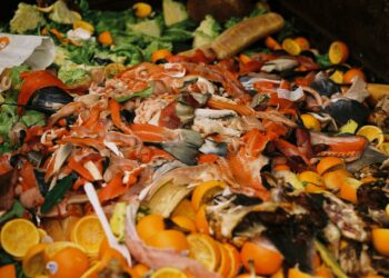 spreco-di-cibo-ecco-il-manuale-per-il-recupero
