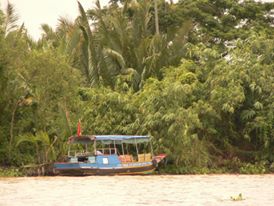 amazzonia-foresta-in-pericolo