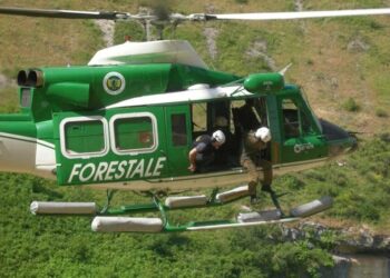 2017-forestale-addio