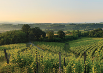 enjoy-prepotto-la-nuova-frontiera-dellenoturismo-tra-le-dolci-colline-dello-schioppettino
