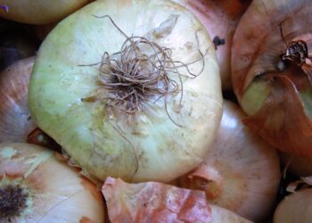 spesa-alimentare-in-crescita-nel-2018