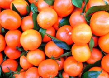 Più soldi per la Frutta nelle scuole