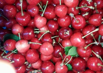 frutta-e-latte-nelle-scuole-30-milioni-allitalia-per-i-programmi-comunitari