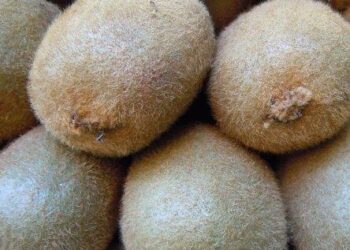 buona-la-domanda-di-frutta-e-verdura-di-stagione