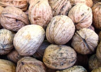 frutta-secca-consumi-in-aumento