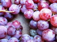 frutta-di-stagione-cresce-la-quantita-e-cala-il-prezzo
