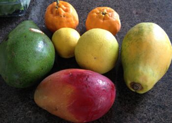 sicilia-base-per-la-frutta-tropicale-italiana