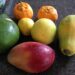 sicilia-base-per-la-frutta-tropicale-italiana