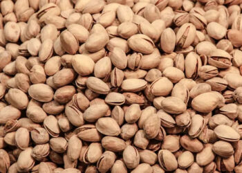 al-via-la-campagna-per-la-frutta-in-guscio