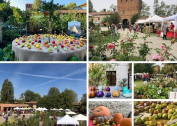 ottobre-i-frutti-del-castello-di-paderna-a-pontenure-pc