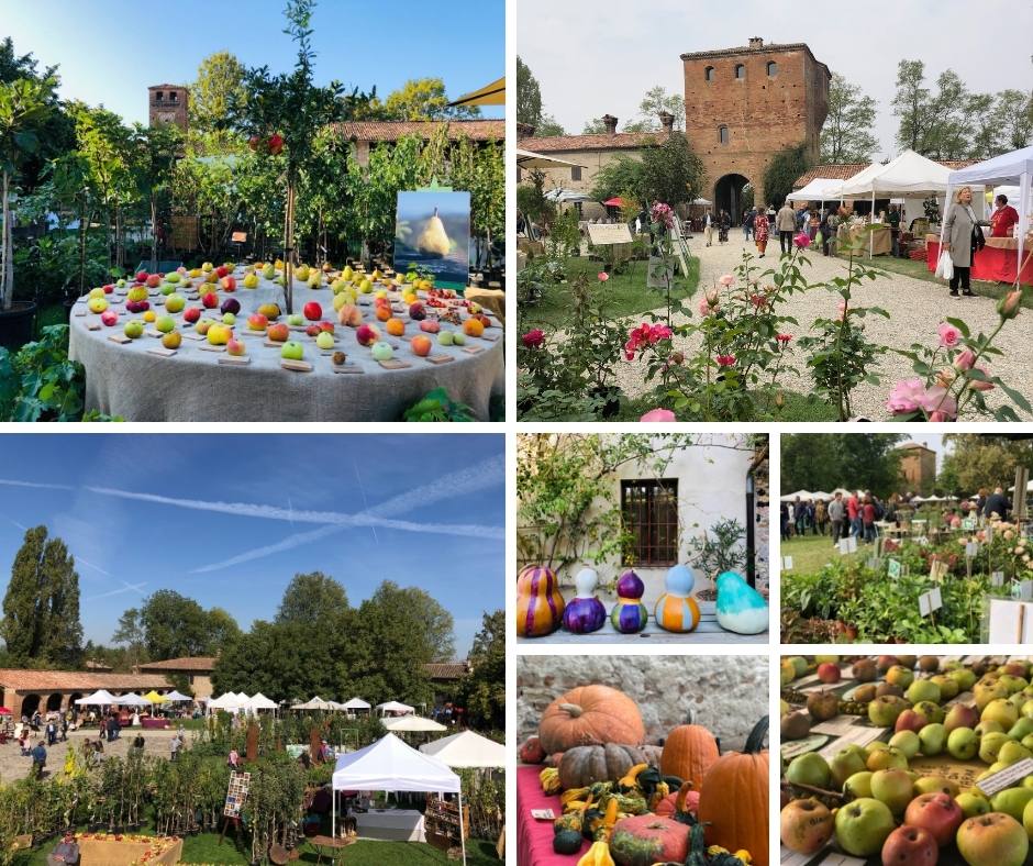 ottobre-i-frutti-del-castello-di-paderna-a-pontenure-pc