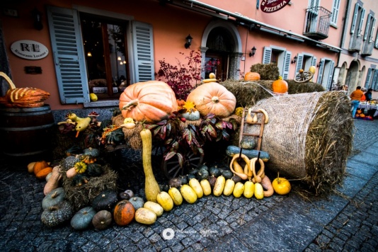 “fuori-di-zucca”-da-15-anni-levento-e-confermato-il-17-e-18-ottobre