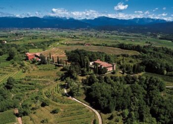 arriva-la-doc-friuli-venezia-giulia