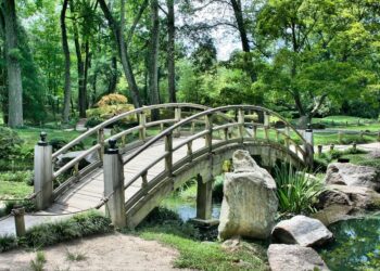 enea-in-arrivo-il-giardiniere-virtuale