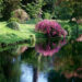 ninfa-giornata-dedicata-allambiente