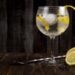 oggi-nel-mondo-e-gin-tonic-day
