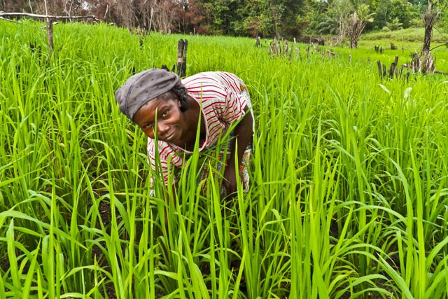la-giornata-mondiale-dellalimentazione-e-in-the-name-of-africa