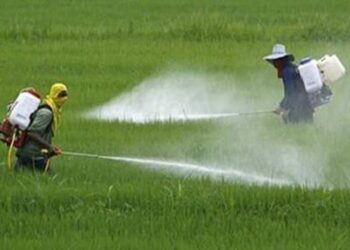 glifosate-giunge-il-parere-scientifico-delloms-e-della-fao