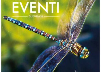 gran-paradiso-montagna-e-turismo-sostenibile