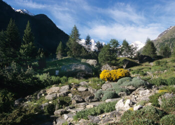 un-gran-paradiso-fiorito