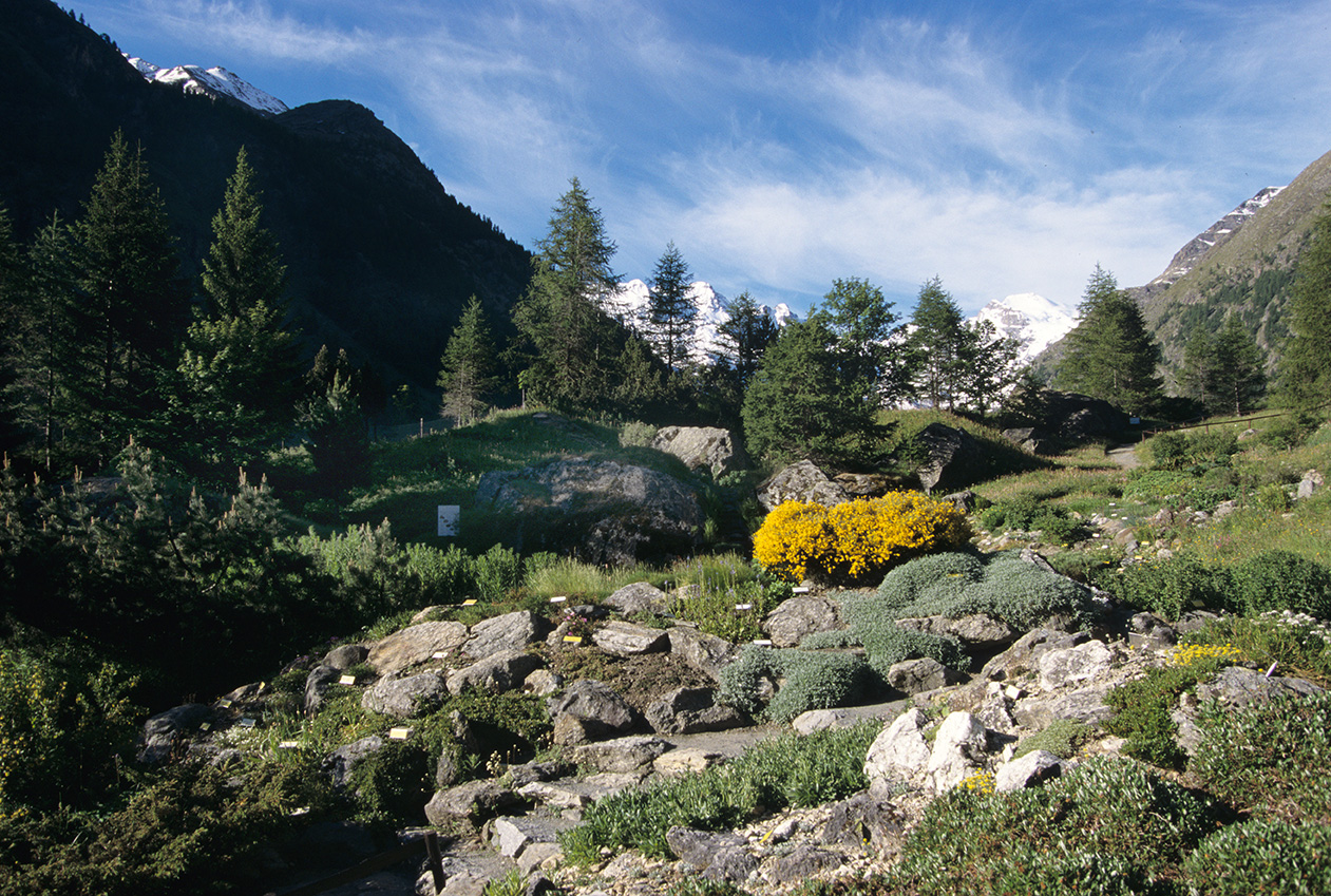 un-gran-paradiso-fiorito