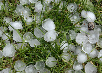 sannio-grandinata-pericolosa-per-le-produzioni-agricole